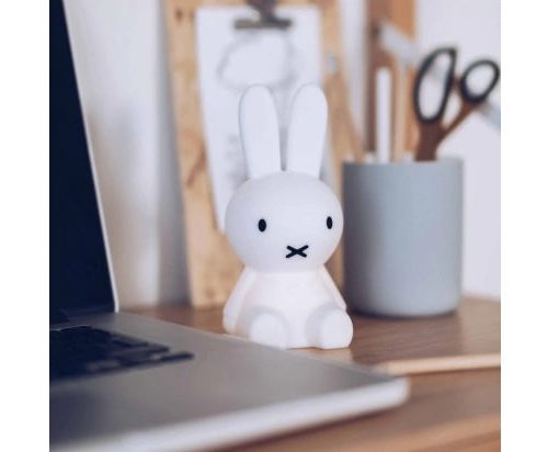 bundle of light miffy